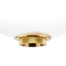 Люстра LIGHTSTAR COLORE 805403 LED 1х6W LM 3000K золото/янтарный